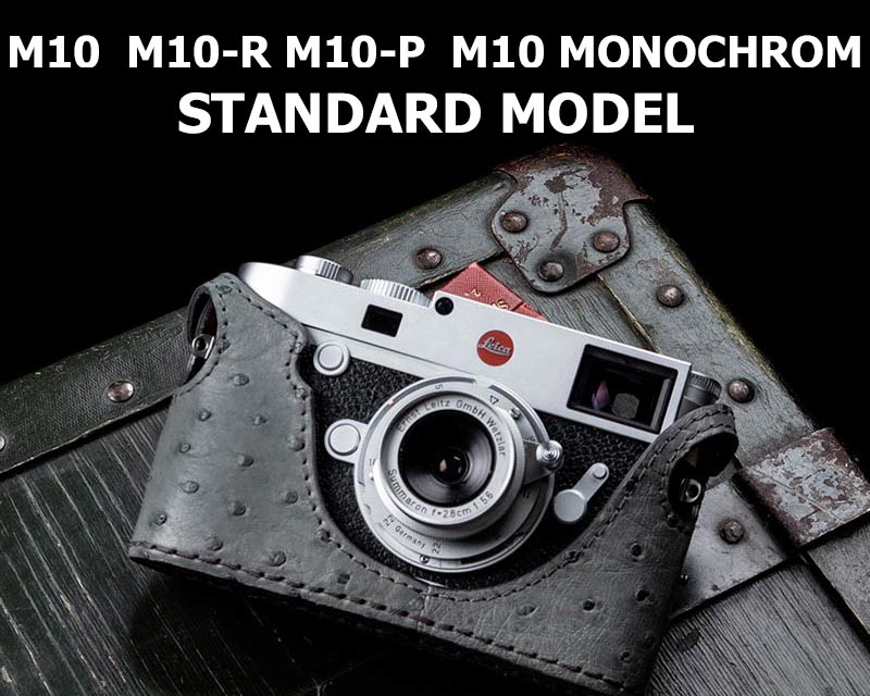 M10-STANDARD
