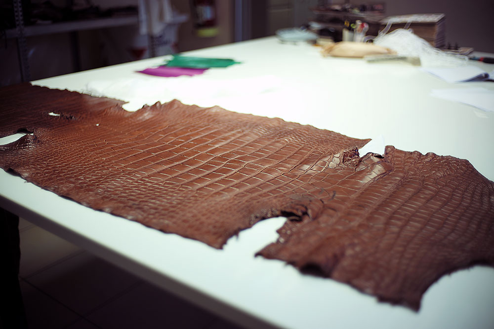 Nile Crocodile vs. American Alligator: A Perspective from the Cutting Table